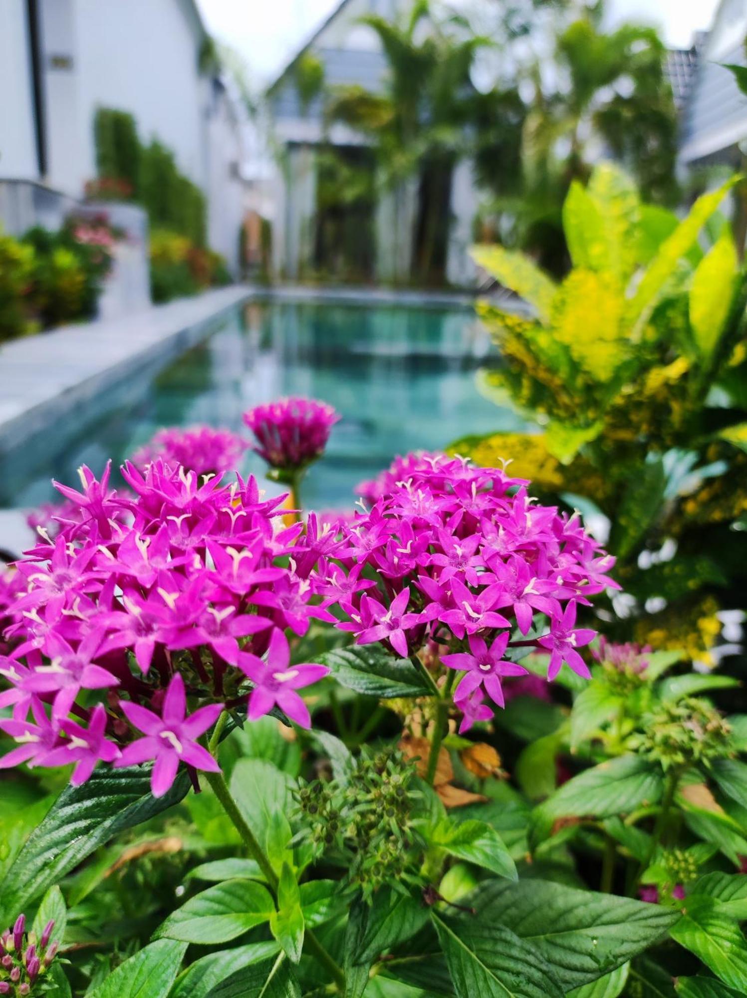 Ngoc Trai Xanh Bungalow Phu Quoc Exterior foto